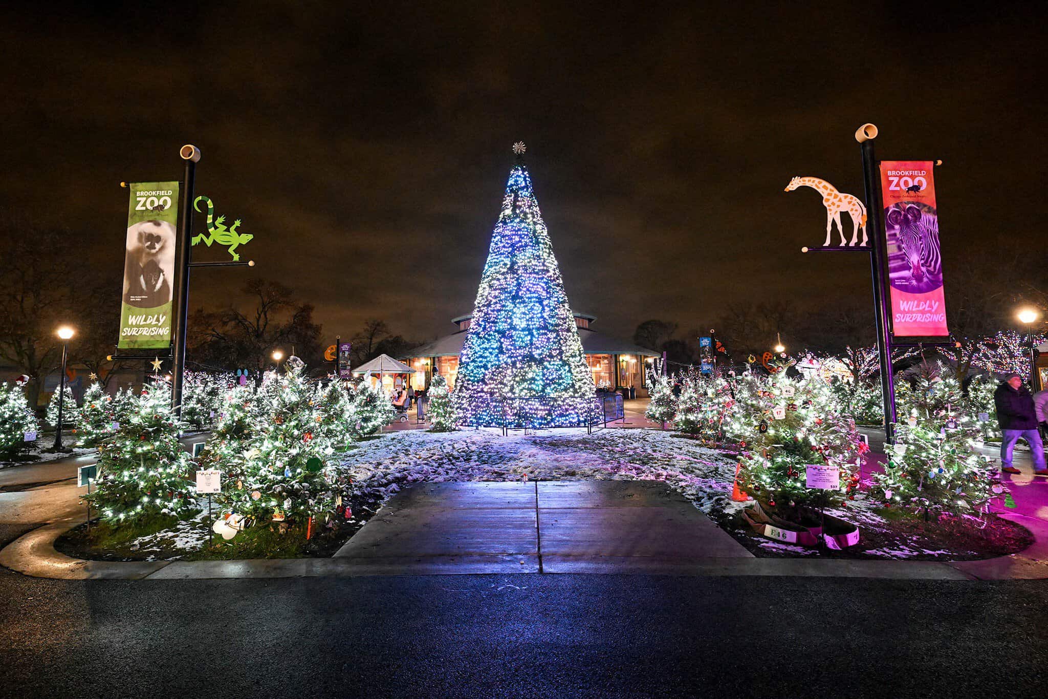 Holiday Magic at Brookfield Zoo 2026: Dates & Guide